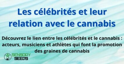Les célébrités et leur relation avec le cannabis