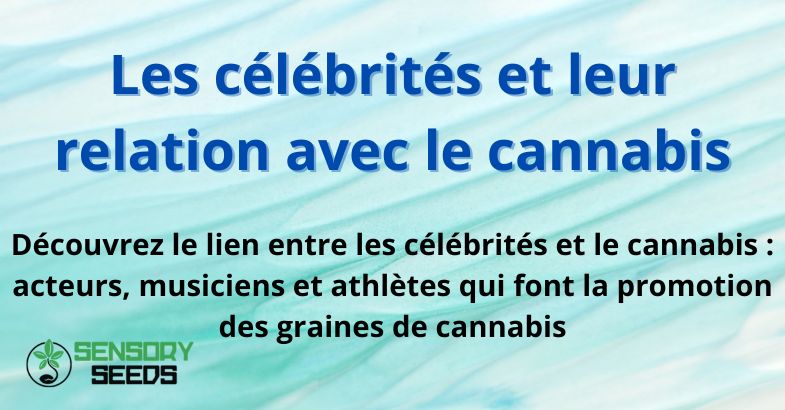Les célébrités et leur relation avec le cannabis