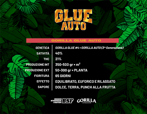 Description complète du produit Gorilla Glue Auto