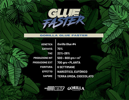 Description complète du produit Gorilla Glue Faster