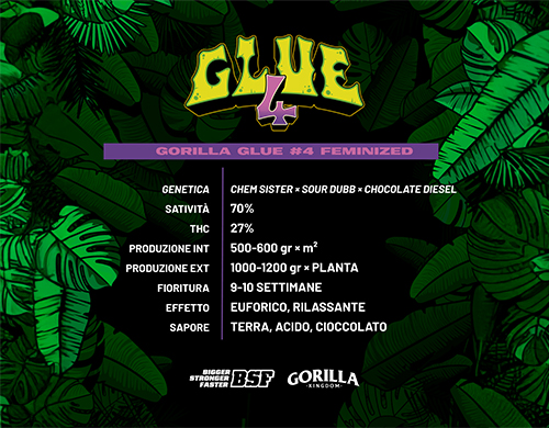 Description complète du produit Gorilla Glue Fem