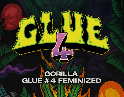 Logo officiel de Gorilla Glue Fem