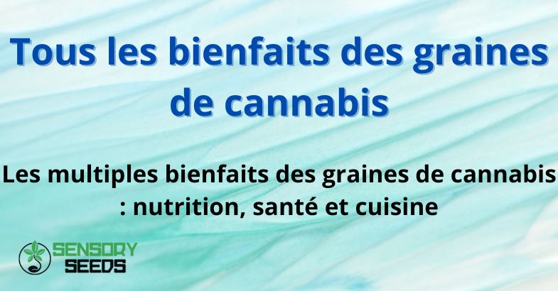 Tous les bienfaits des graines de cannabis