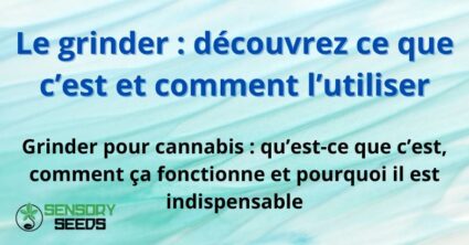 Le grinder : découvrez ce que c’est et comment l’utiliser
