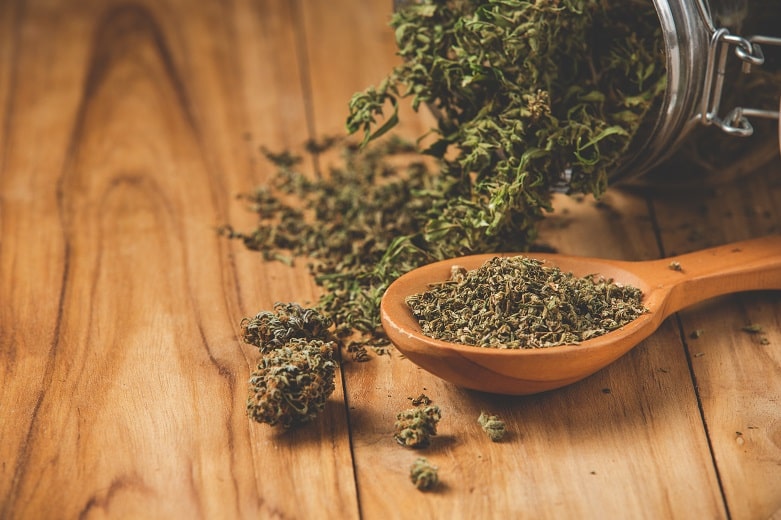 Les graines de cannabis en cuisine : un super-aliment à découvrir