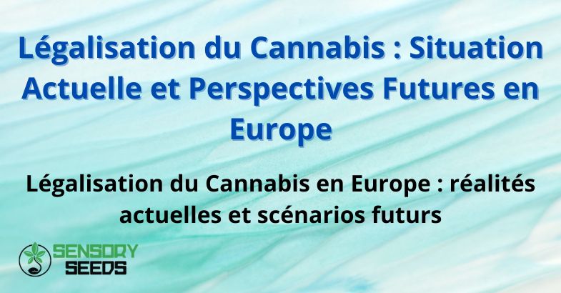 legalisation-du-cannabis Légalisation du Cannabis : Situation Actuelle et Perspectives Futures en Europe