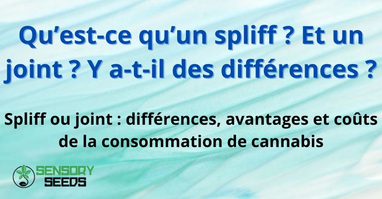 Qu’est-ce qu’un spliff ? Et un joint ?