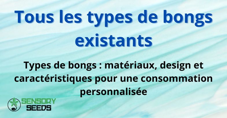 Tous les types de bongs existants