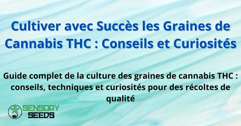 Cultiver avec Succès les Graines de Cannabis THC