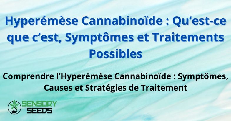 Hyperémèse Cannabinoïde : Qu’est-ce que c’est, Symptômes et Traitements Possibles