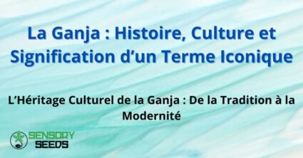 La Ganja : Histoire, Culture et Signification d’un Terme Iconique