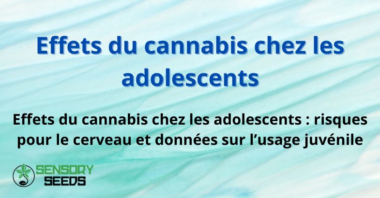 Effets du cannabis chez les adolescents