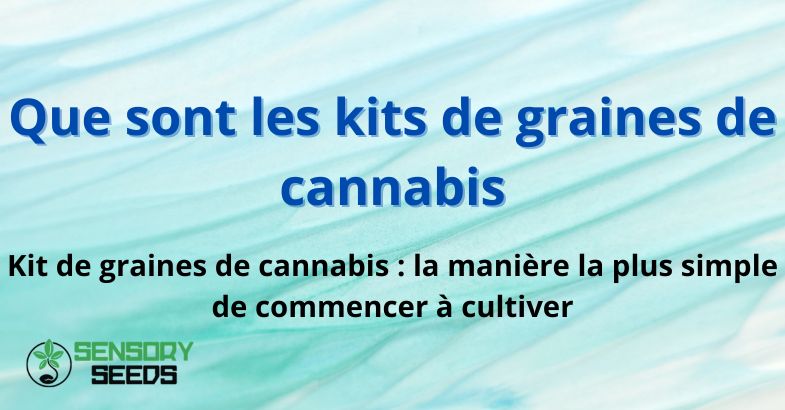 Que sont les kits de graines de cannabis