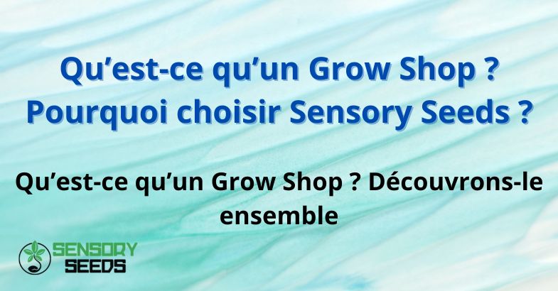 Qu’est-ce qu’un Grow Shop ? Pourquoi choisir Sensory Seeds ?