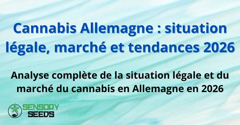 cannabis-allemagne-situation Cannabis Allemagne : situation légale, marché et tendances 2026