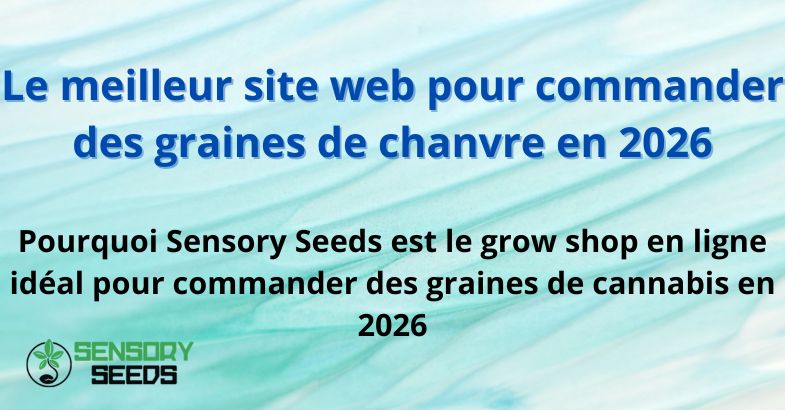 Le meilleur site web pour commander des graines de chanvre en 2026